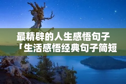 最精辟的人生感悟句子「生活感悟经典句子简短正能量」