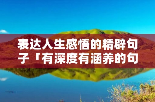 表达人生感悟的精辟句子「有深度有涵养的句子」