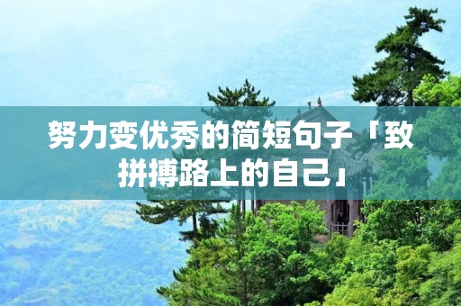 努力变优秀的简短句子「致拼搏路上的自己」