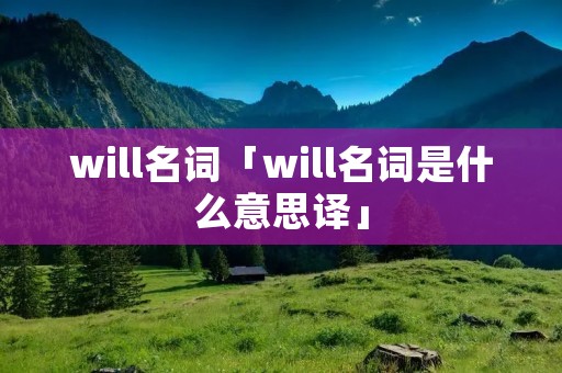 will名词「will名词是什么意思译」