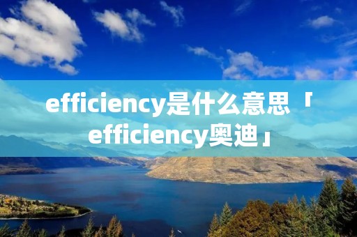 efficiency是什么意思「efficiency奥迪」