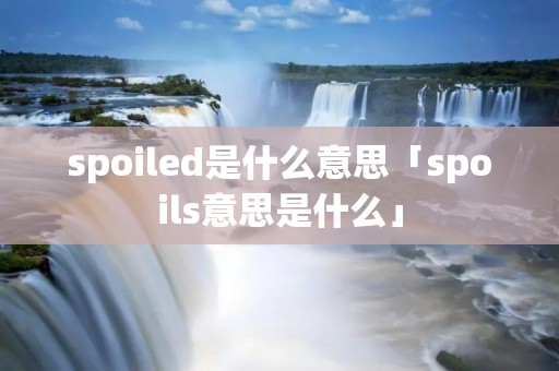 spoiled是什么意思「spoils意思是什么」 spoiled是什么意思「spoils意思是什么」