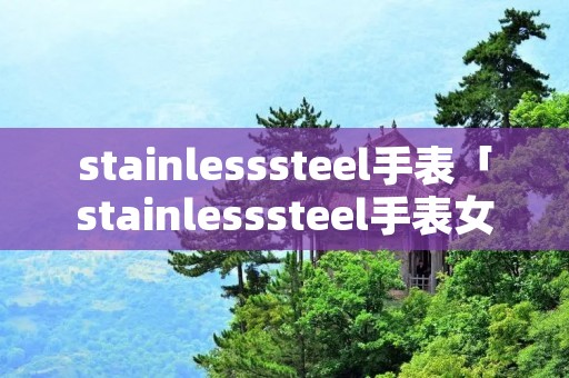 stainlesssteel手表「stainlesssteel手表女款」