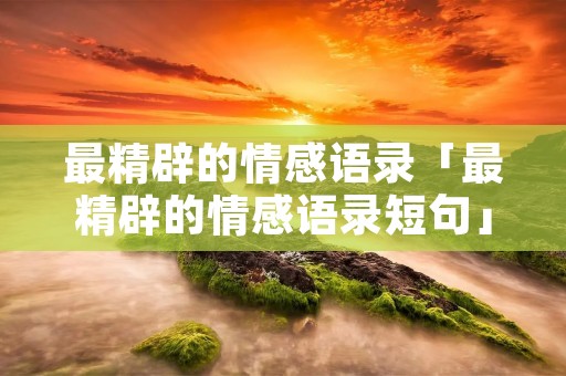 最精辟的情感语录「最精辟的情感语录短句」
