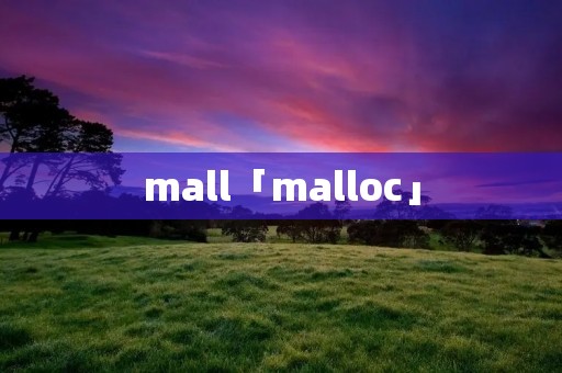 mall「malloc」