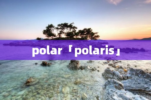 polar「polaris」