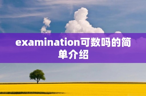 examination可数吗的简单介绍