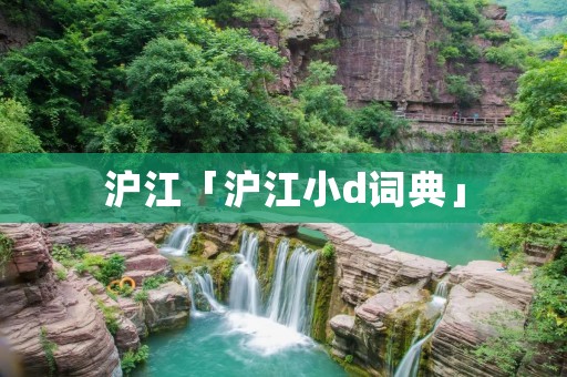 沪江「沪江小d词典」