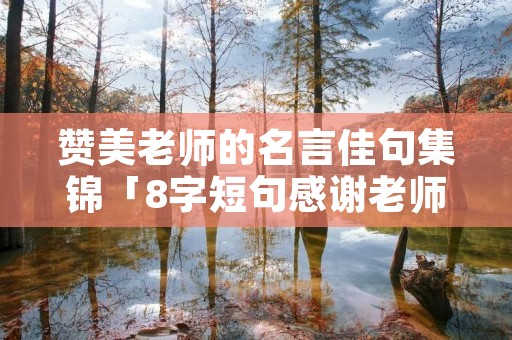 赞美老师的名言佳句集锦「8字短句感谢老师」