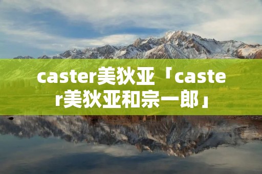caster美狄亚「caster美狄亚和宗一郎」