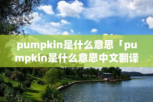 pumpkin是什么意思「pumpkin是什么意思中文翻译」