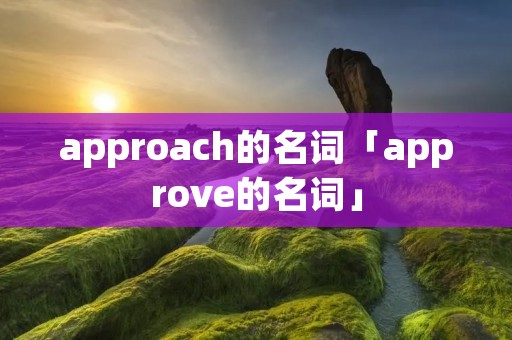 approach的名词「approve的名词」
