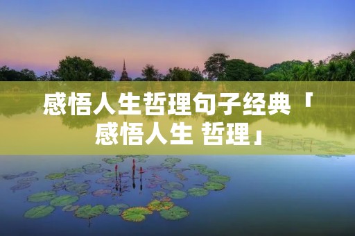 感悟人生哲理句子经典「感悟人生 哲理」