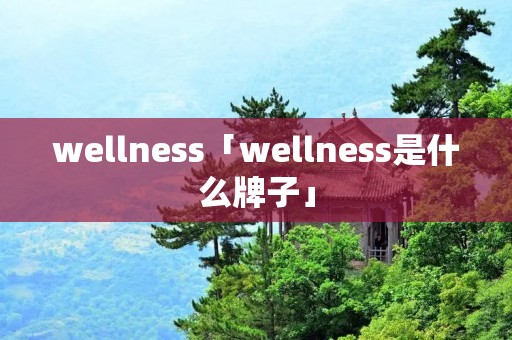 wellness「wellness是什么牌子」
