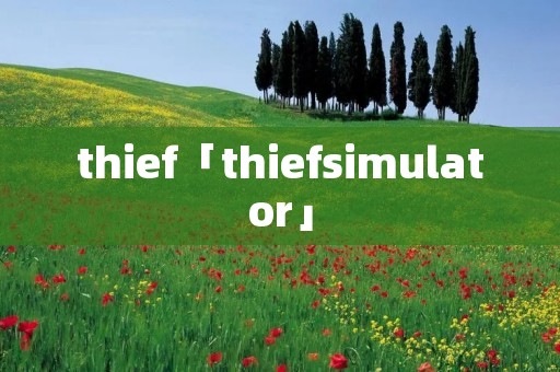 thief「thiefsimulator」