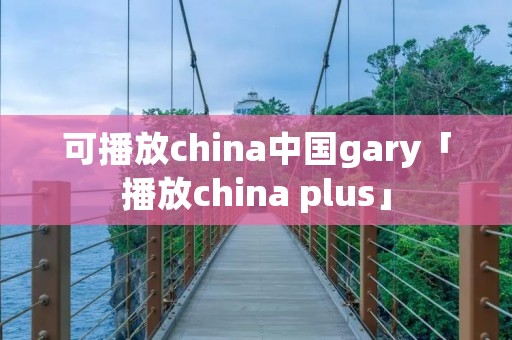 可播放china中国gary「播放china plus」