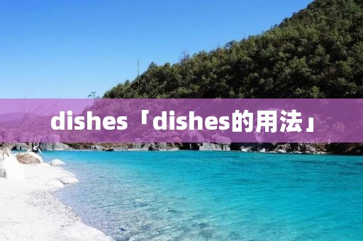 dishes「dishes的用法」
