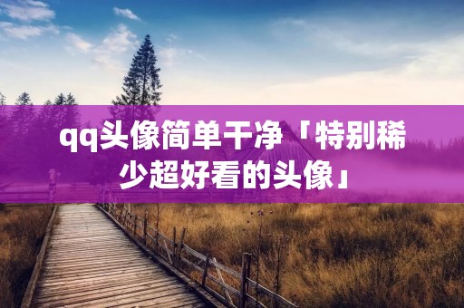 qq头像简单干净「特别稀少超好看的头像」 qq头像简单干净「特别稀少超好看的头像」