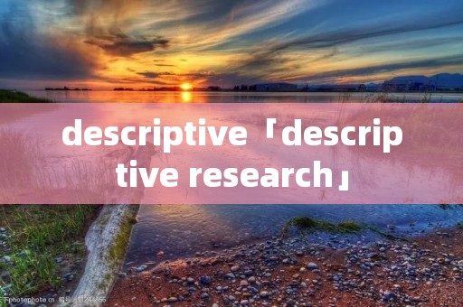descriptive「descriptive research」