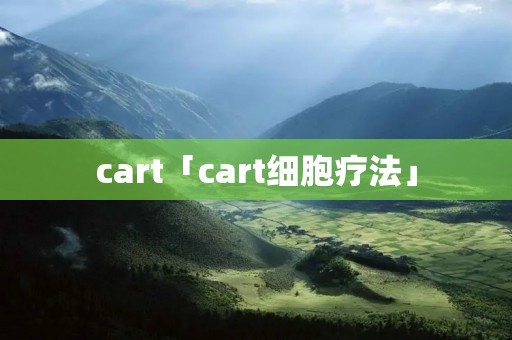 cart「cart细胞疗法」