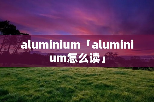 aluminium「aluminium怎么读」