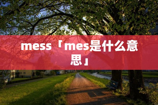 mess「mes是什么意思」 mess「mes是什么意思」