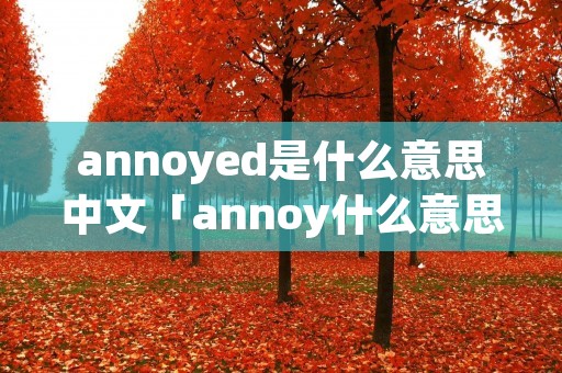 annoyed是什么意思中文「annoy什么意思中文意思」