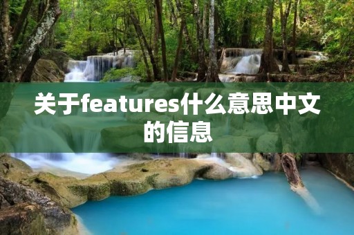 关于features什么意思中文的信息 关于features什么意思中文的信息