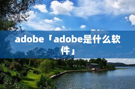 adobe「adobe是什么软件」