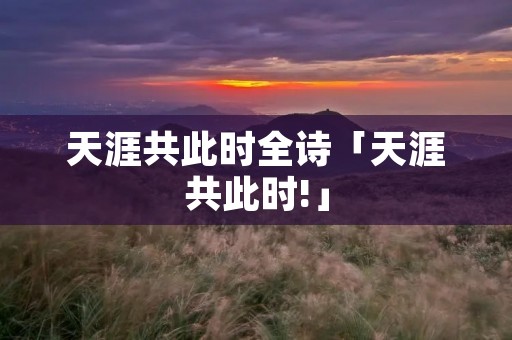 天涯共此时全诗「天涯共此时!」