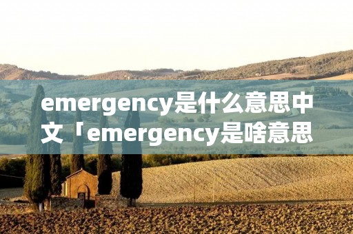 emergency是什么意思中文「emergency是啥意思啊」 emergency是什么意思中文「emergency是啥意思啊」