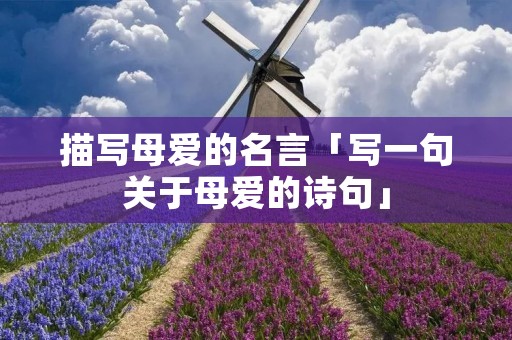描写母爱的名言「写一句关于母爱的诗句」