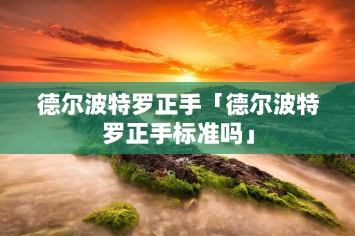 德尔波特罗正手「德尔波特罗正手标准吗」