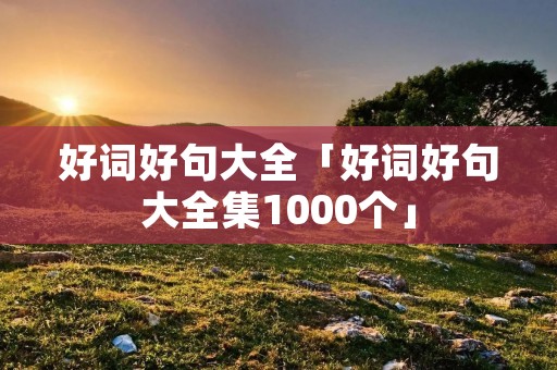 好词好句大全「好词好句大全集1000个」