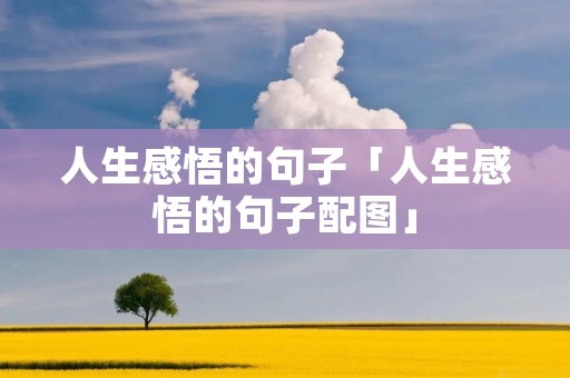 人生感悟的句子「人生感悟的句子配图」