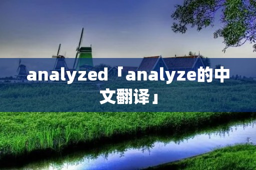 analyzed「analyze的中文翻译」