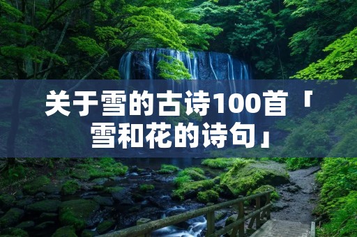 关于雪的古诗100首「雪和花的诗句」