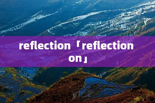 reflection「reflection on」