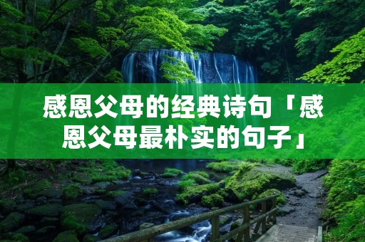 感恩父母的经典诗句「感恩父母最朴实的句子」 感恩父母的经典诗句「感恩父母最朴实的句子」