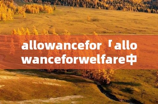 allowancefor「allowanceforwelfare中午」