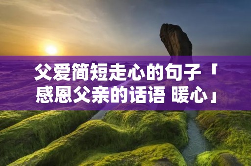 父爱简短走心的句子「感恩父亲的话语 暖心」