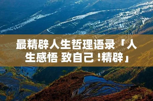 最精辟人生哲理语录「人生感悟 致自己 !精辟」