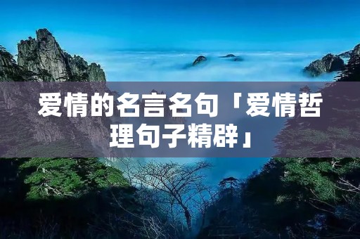 爱情的名言名句「爱情哲理句子精辟」