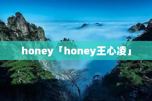 honey「honey王心凌」