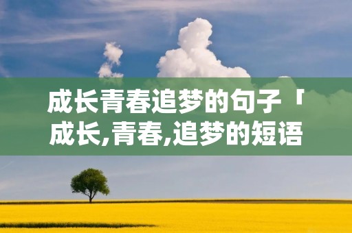 成长青春追梦的句子「成长,青春,追梦的短语」