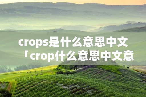 crops是什么意思中文「crop什么意思中文意思」