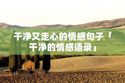 干净又走心的情感句子「干净的情感语录」
