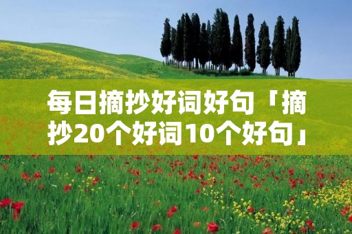 每日摘抄好词好句「摘抄20个好词10个好句」
