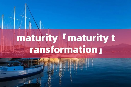 maturity「maturity transformation」