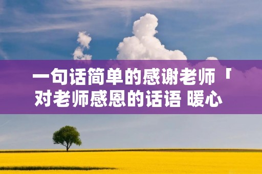 一句话简单的感谢老师「对老师感恩的话语 暖心 简短」